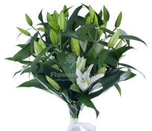 Bouquet of 7 lilies
